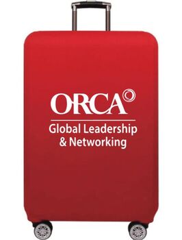 מזוודה ממותגת