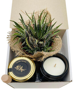 מארז אווירה