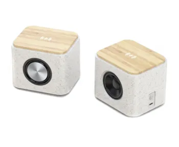 רמקול אלחוטי