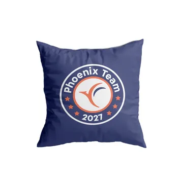 כרית נוי ממותגת